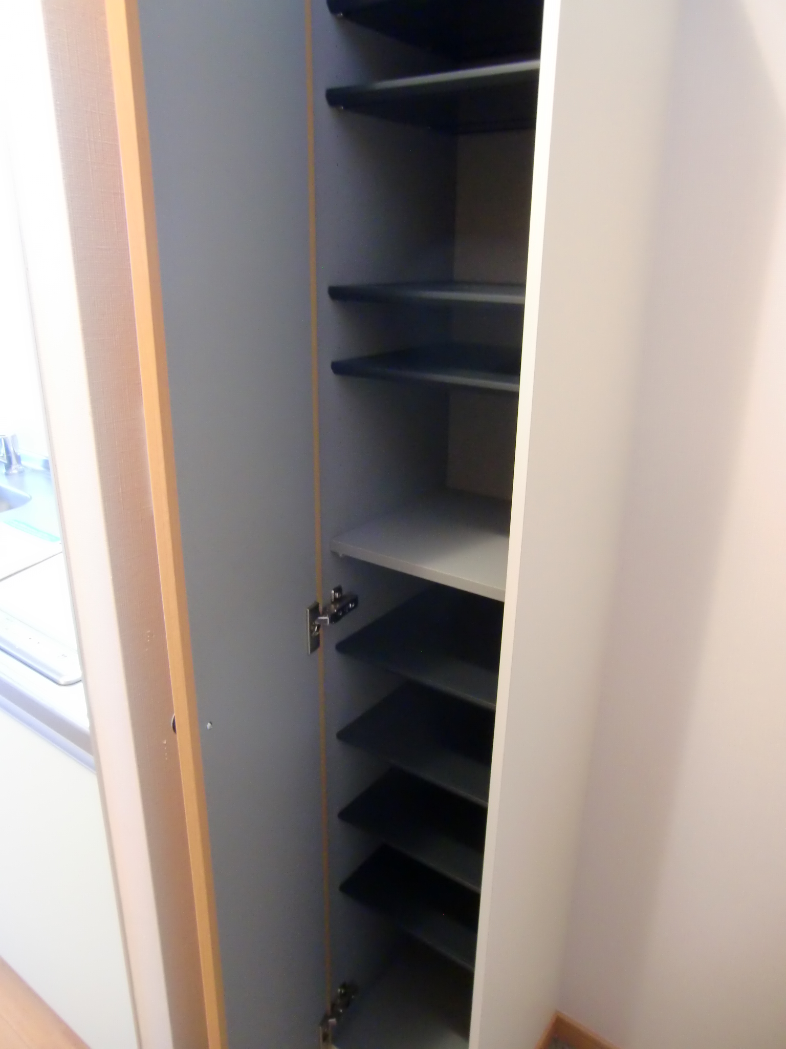 収納　シューズボックス