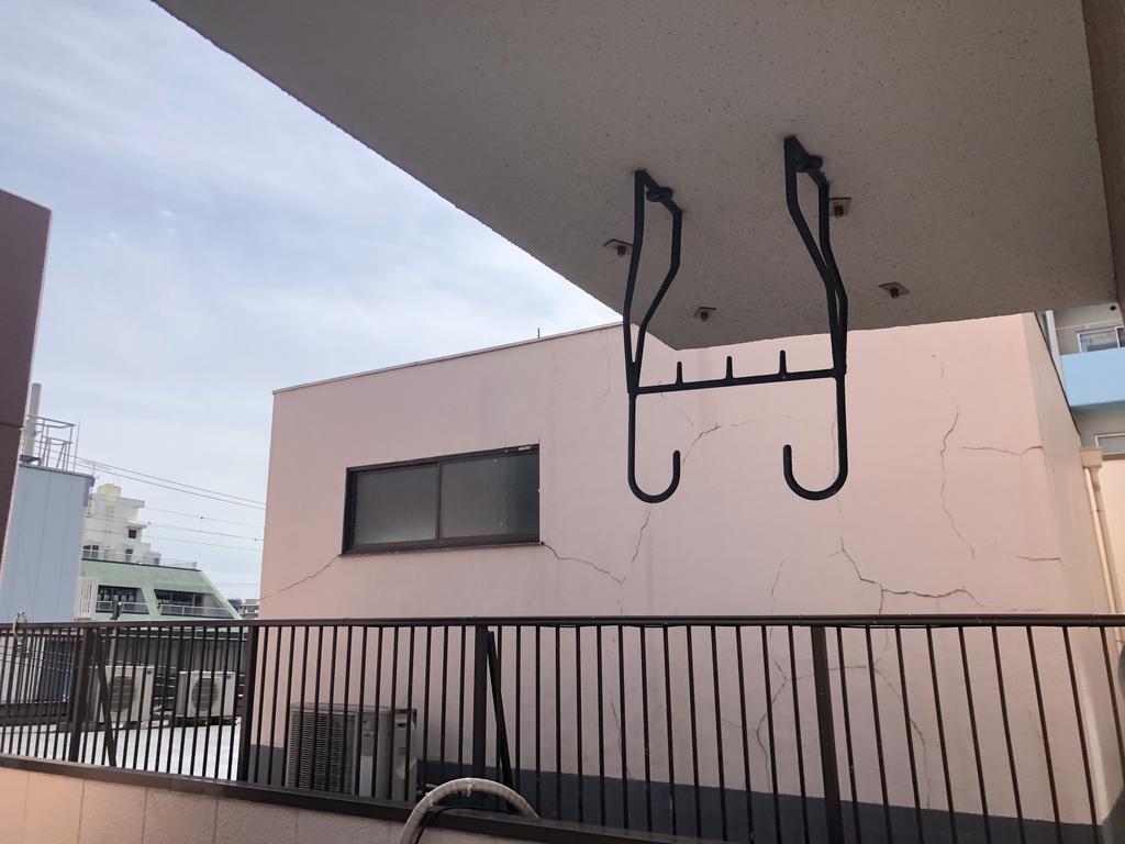 IRISのその他写真