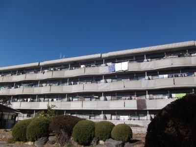 江戸川区北篠崎のマンションの建物外観