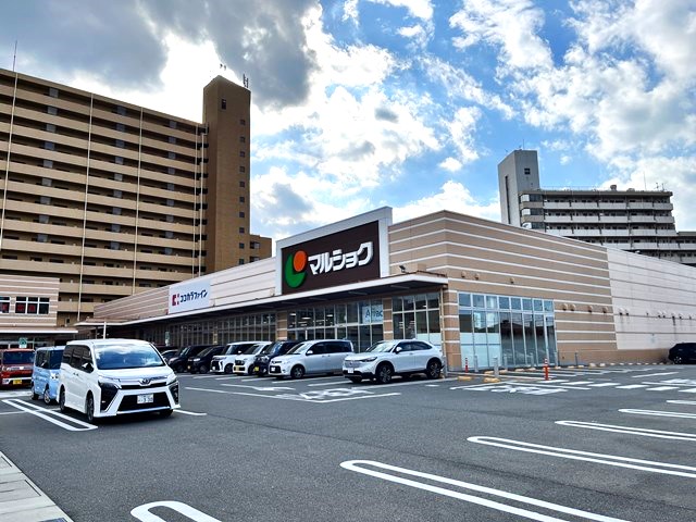 スーパー　マルショク東駅店（スーパー）まで847m
