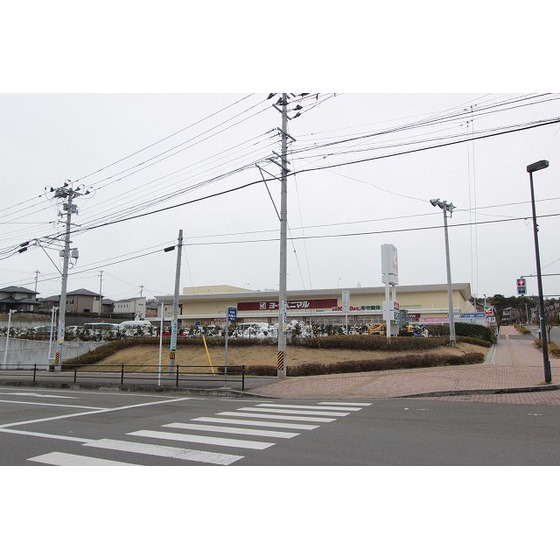 スーパー　ヨークベニマル南中山店（スーパー）まで1292m