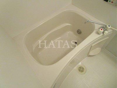 バス・シャワールーム　同物件別部屋です。