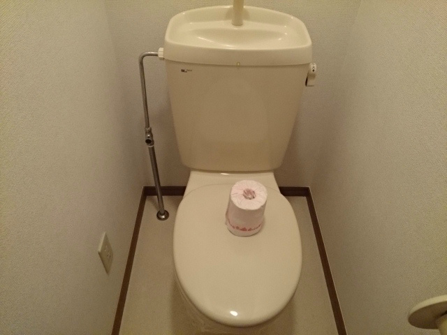 トイレ　写真は別室