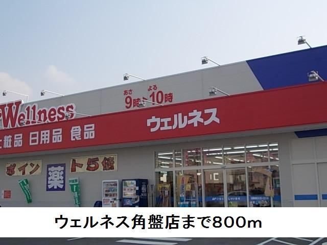 ドラックストア　ウェルネス角盤店（ドラッグストア）まで800m