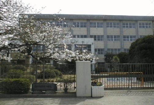 小学校　花園小学校（小学校）まで712m