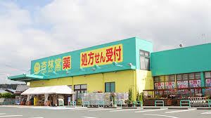 ドラックストア　杏林堂（ドラッグストア）まで1200m