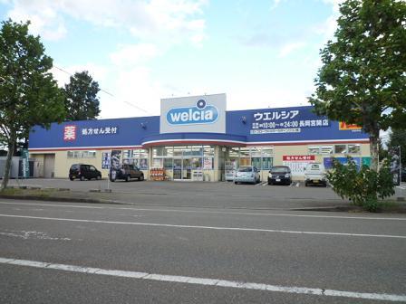 ドラックストア　ウエルシア薬局長岡宮関店（ドラッグストア）まで206m