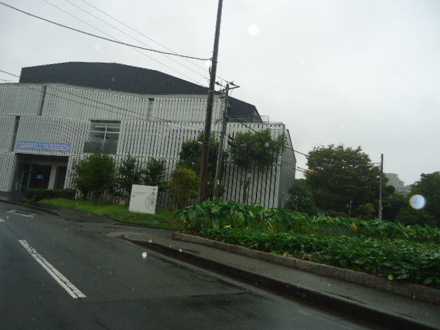 大学・短大　多摩大学湘南キャンパス（大学・短大）まで232m