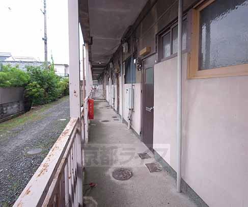 その他共有部分　玄関前の通路です。