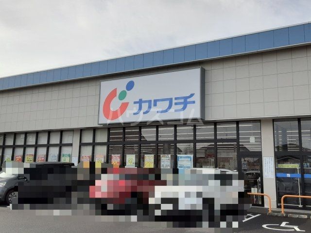 ドラックストア　カワチ薬品 水戸千波店（ドラッグストア）まで666m