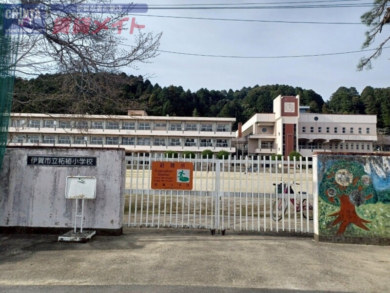 小学校　伊賀市立柘植小学校（小学校）まで1187m