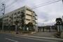 小学校　市川市立 大洲小学校（小学校）まで416m