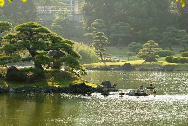 公園　金杉濱町緑地（公園）まで163m