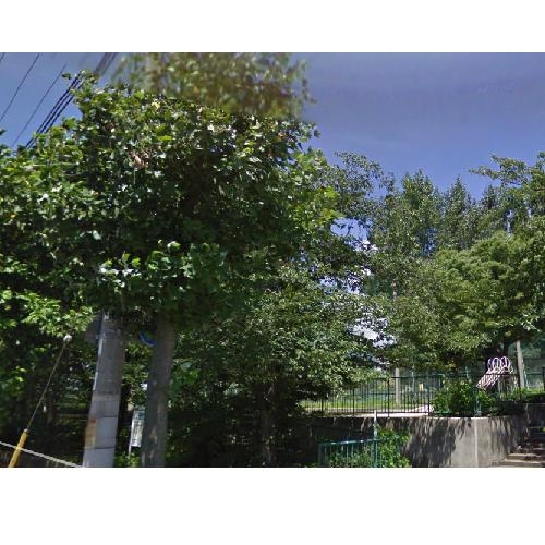 公園　住吉公園（公園）まで618m
