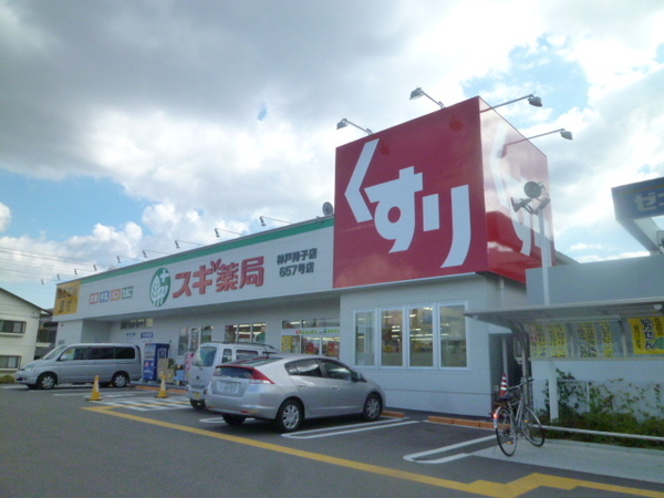 ドラックストア　スギ薬局玉津店（ドラッグストア）まで648m