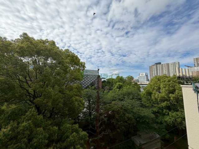 アーツタチバナのその他写真