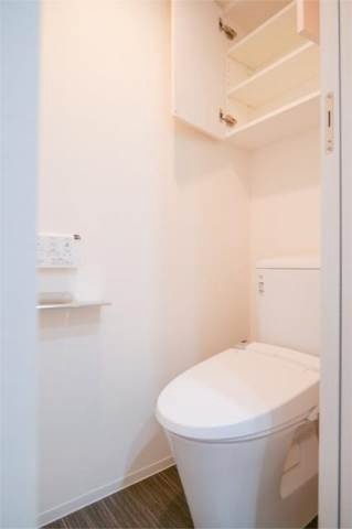 ブライズ神楽坂DUEのトイレ写真