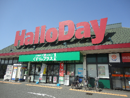 スーパー　【ハローデイ貫店】（スーパー）まで693m