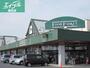 スーパー　ニシナフードバスケット中島店（スーパー）まで1078m