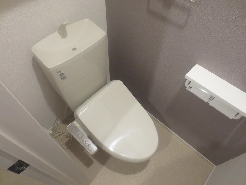 ＪＲ常磐線 佐和駅 徒歩45分 2階建 築1年のトイレ写真