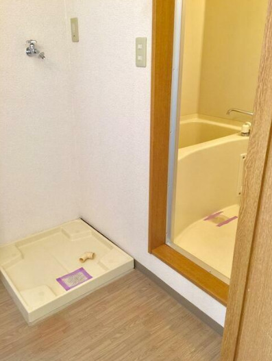 サンフラワーIIIのその他写真