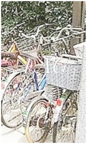 その他共有部分　駐輪場です。