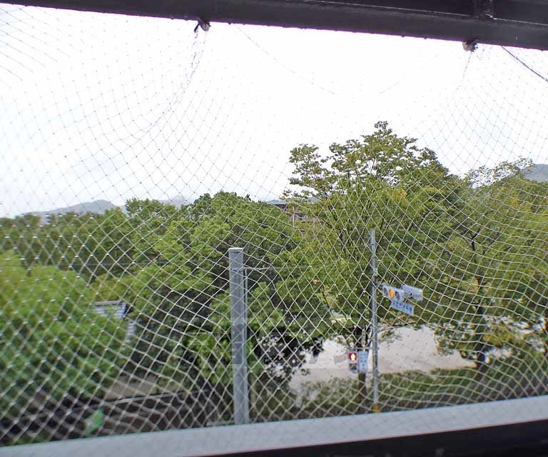 眺望　バルコニーから賀茂川を望めます。
