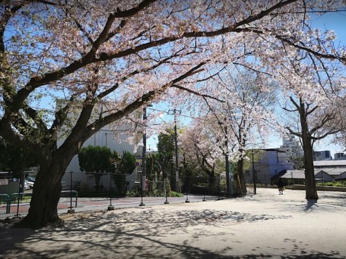 公園　和田さくらの坂公園（公園）まで157m