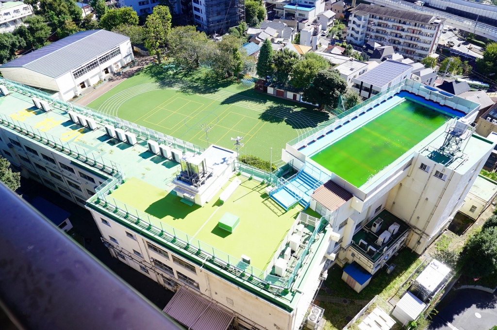 小学校　板橋区立志村小学校（小学校）まで647m