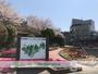 その他　松山総合公園（その他）まで853m