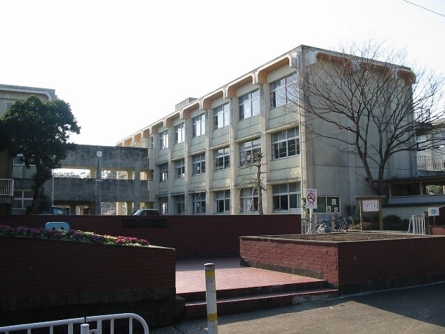 小学校　宮崎市立住吉南小学校（小学校）まで1333m
