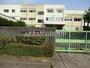 小学校　町田市立金井小学校（小学校）まで226m