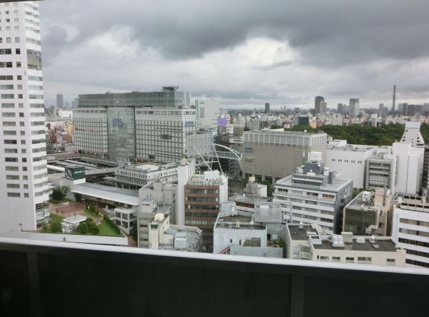 眺望　同マンション別部屋参照。
