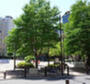公園　西神田公園（公園）まで466m