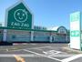 ドラックストア　ザグザグ　金川店（ドラッグストア）まで2600m