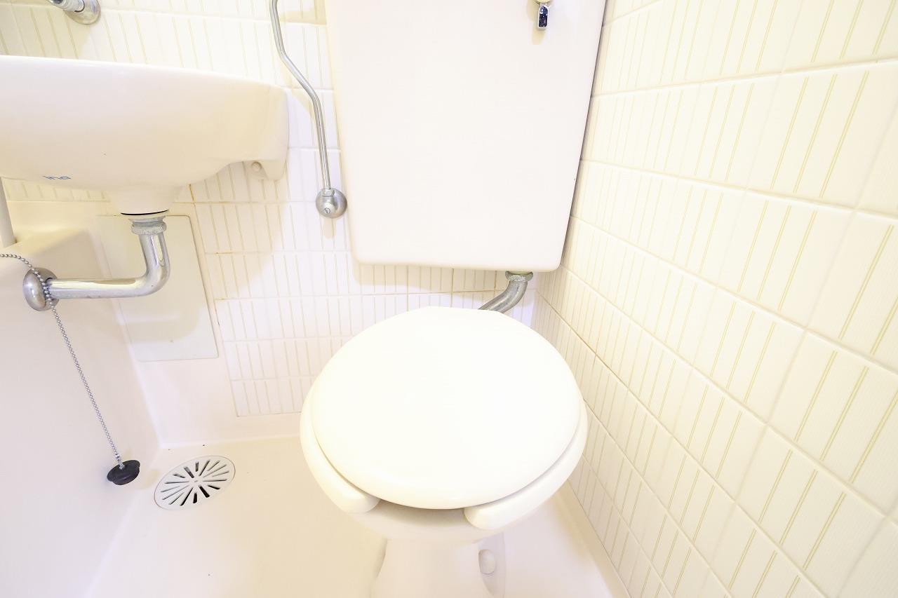 ラウレア旦野原IIIのトイレ写真