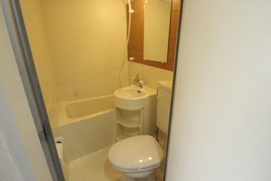 バス・シャワールーム　※別部屋の写真です