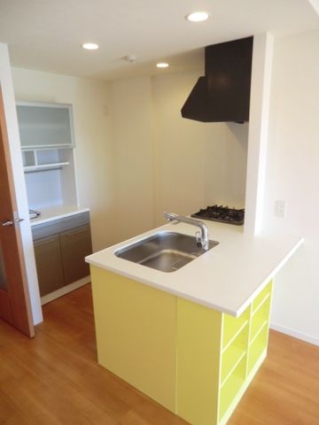 キッチン　ディスポーザー付カウンターシステムキッチン