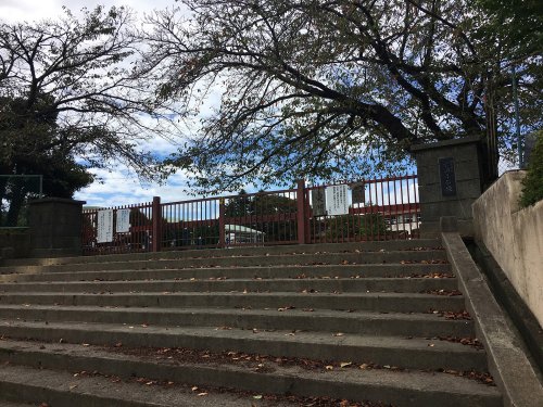 小学校　日立市立宮田小学校（小学校）まで308m