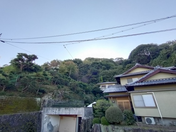 眺望　※別部屋の写真です
