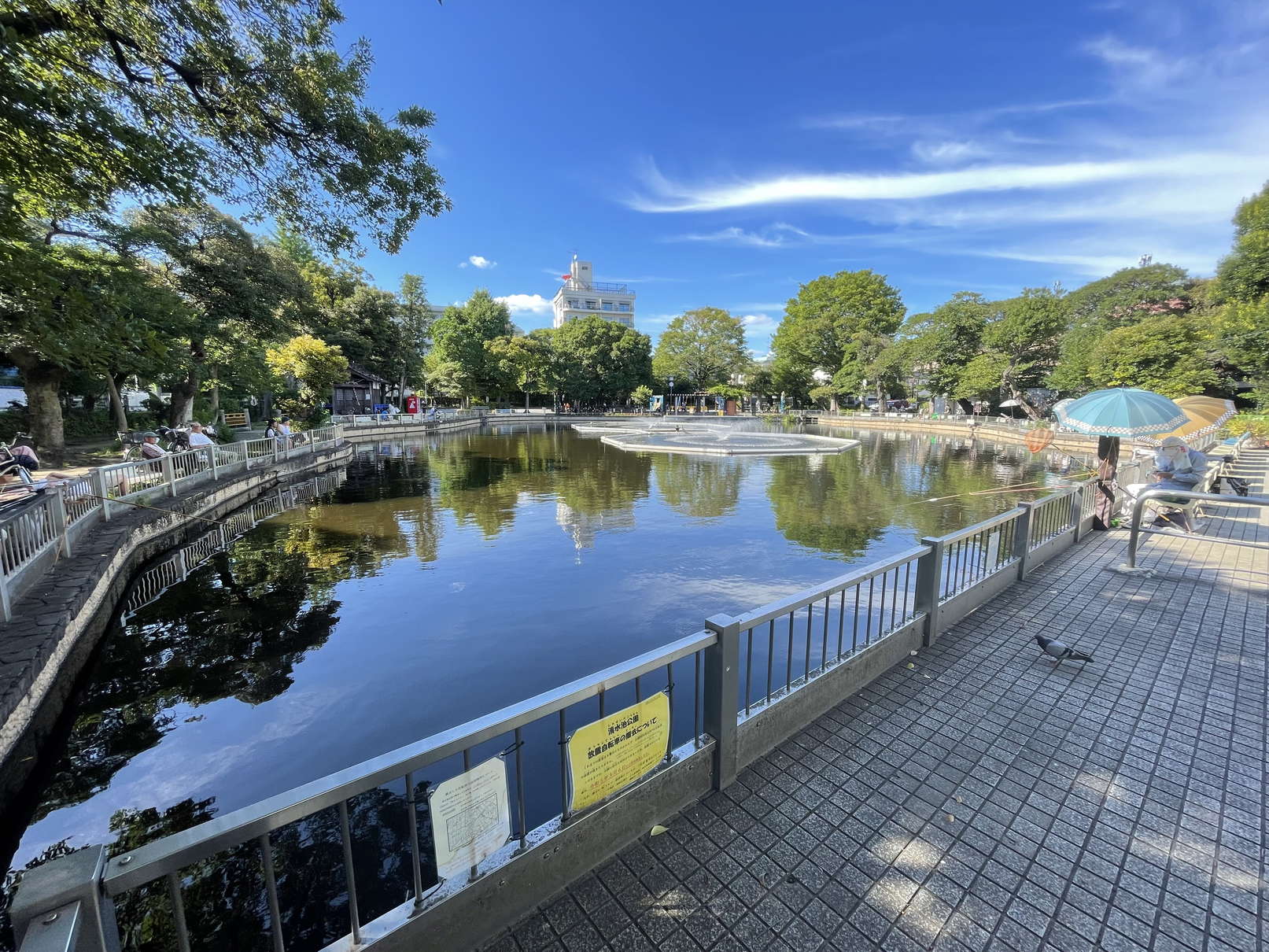 公園　清水池公園（公園）まで117m