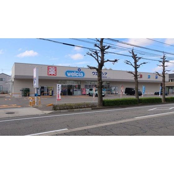 ドラックストア　ウエルシア金沢額新保店（ドラッグストア）まで315m