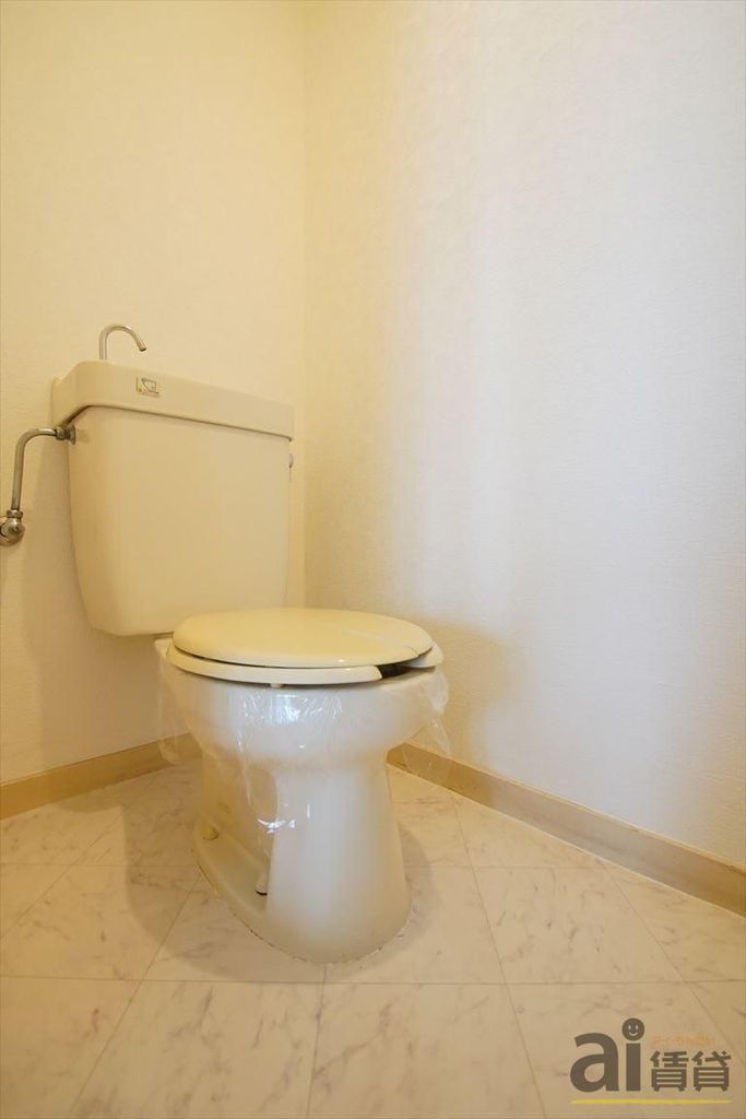 トイレ　※別号室写真