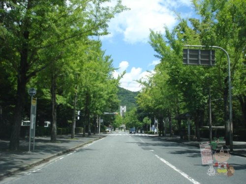 大学・短大　岡山大学（大学・短大）まで421m