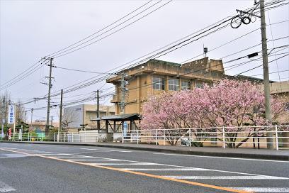 中学校　郡中学校（中学校）まで2200m