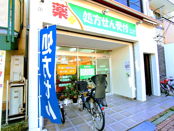 ドラックストア　はやぶさ薬局 武蔵新田店（ドラッグストア）まで587m
