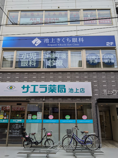 病院　池上みなみ内科クリニック（病院）まで715m