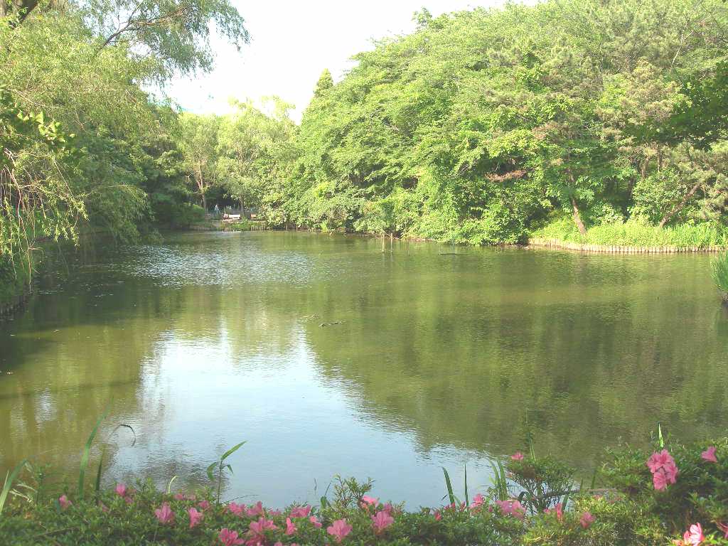 公園　森林公園（公園）まで792m