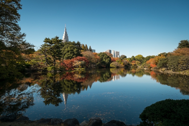 公園　新宿御苑(大木戸門)（公園）まで729m