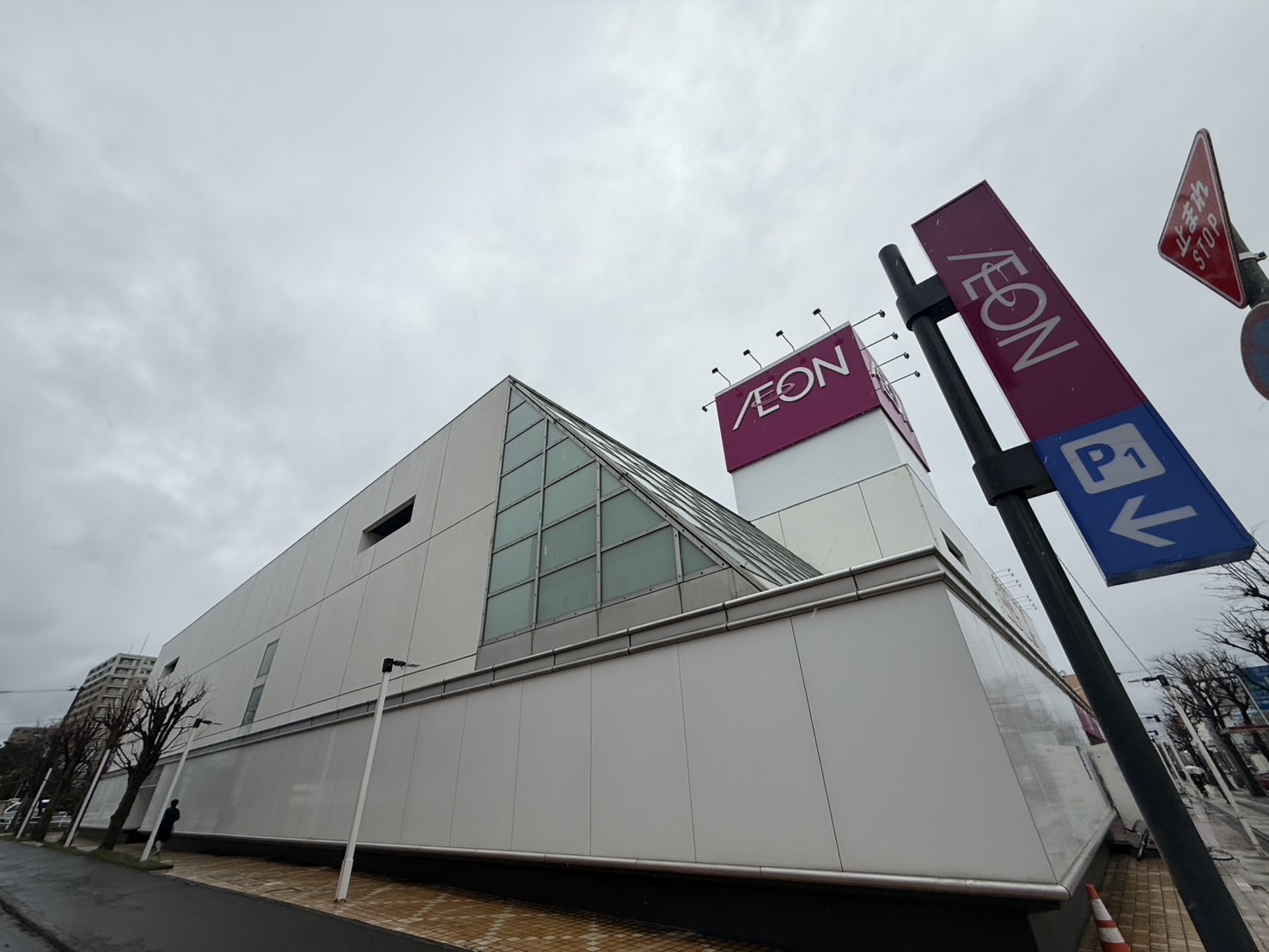 スーパー　イオン札幌平岸店（スーパー）まで541m